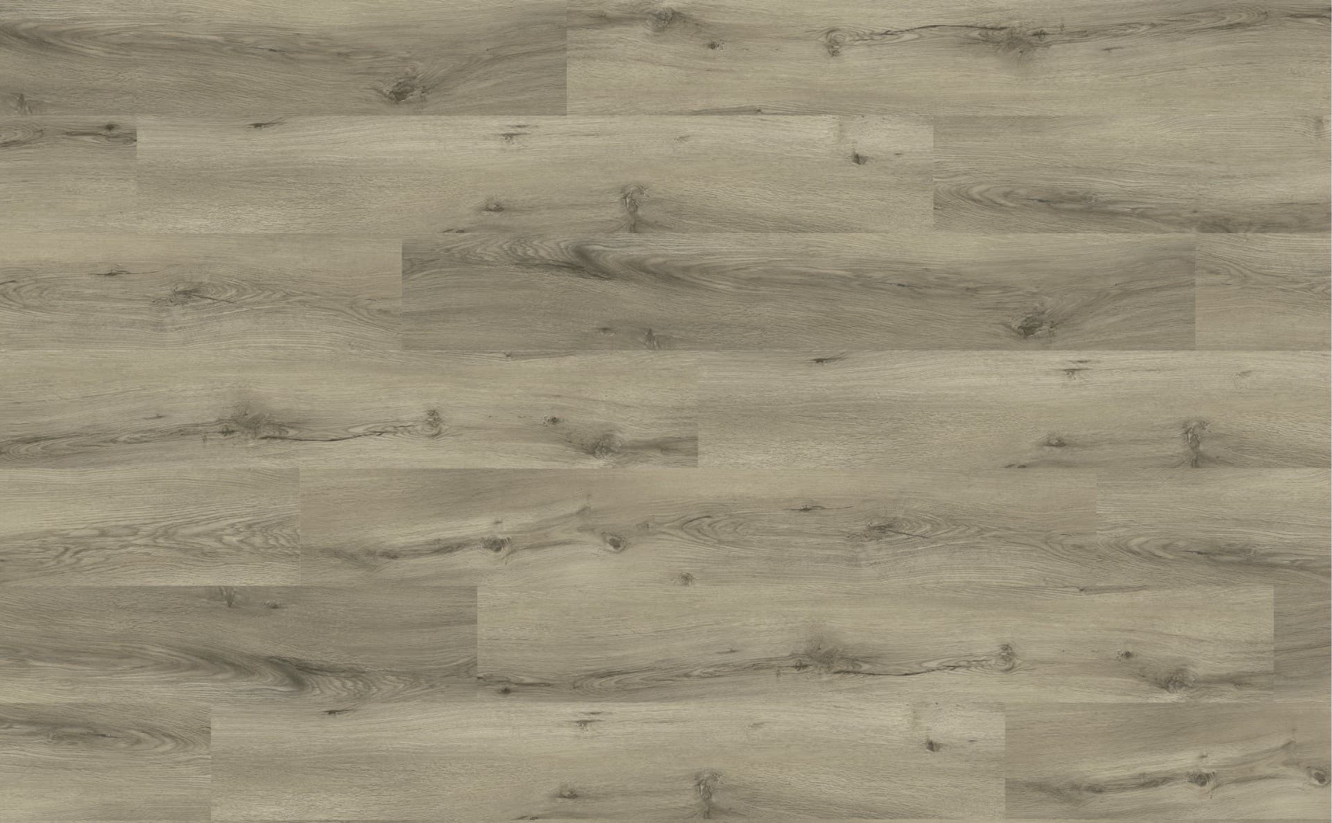 SPC Wall Panel 29036-6 Color