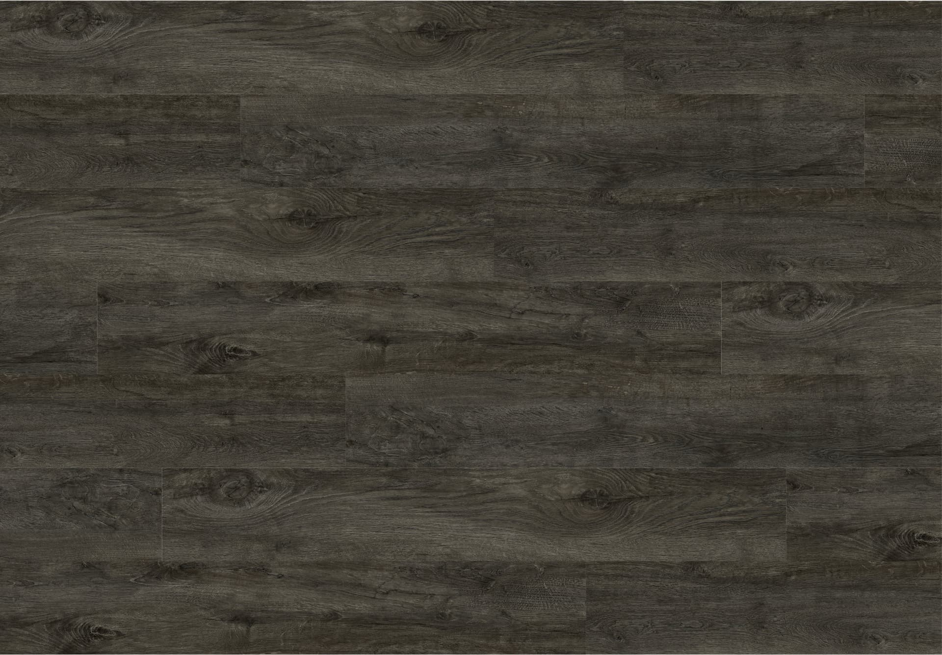 SPC Wall Panel 29123-1 Color