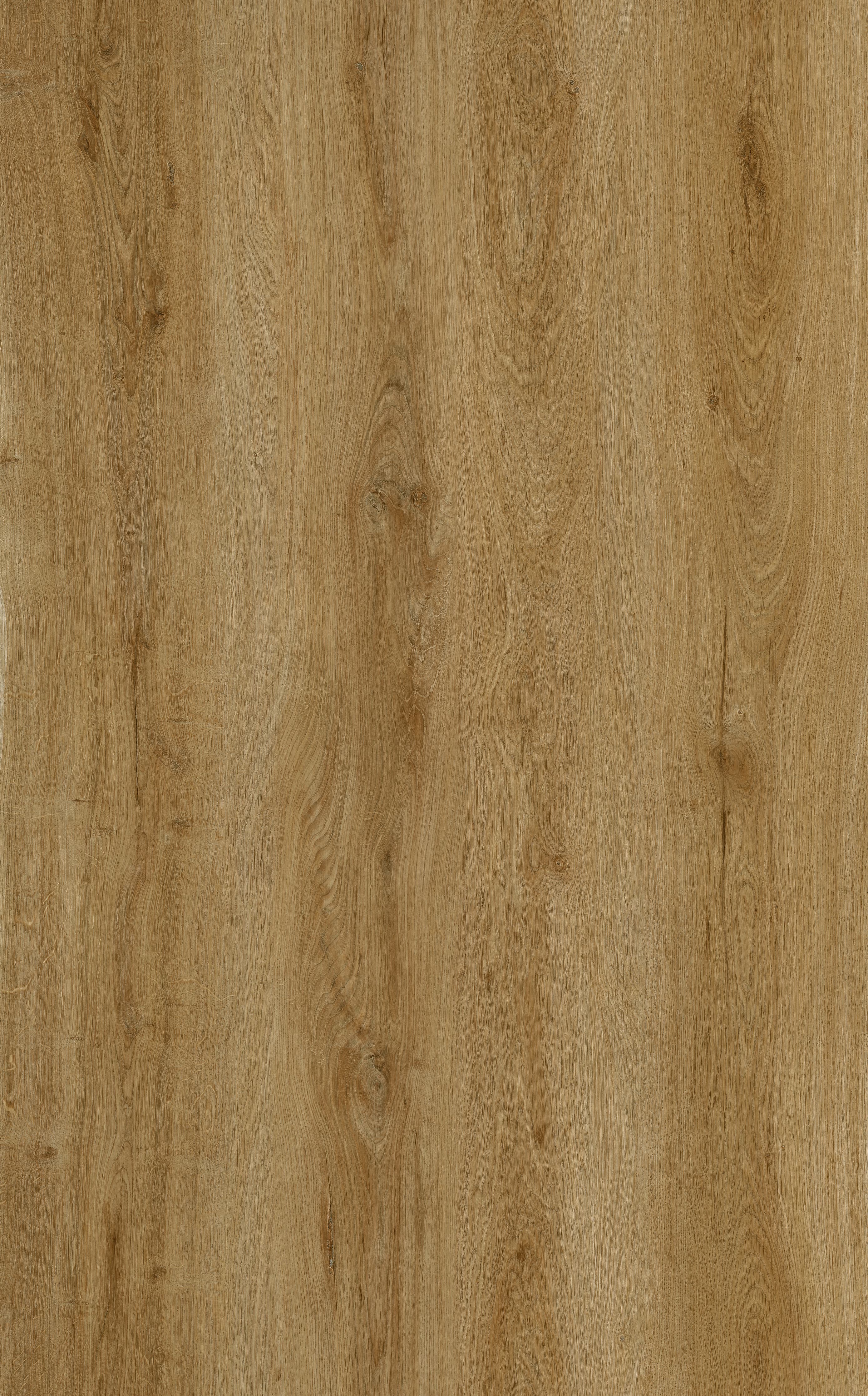 SPC Wall Panel European Oak Color